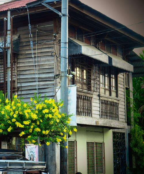 heritagehouse3 (1)